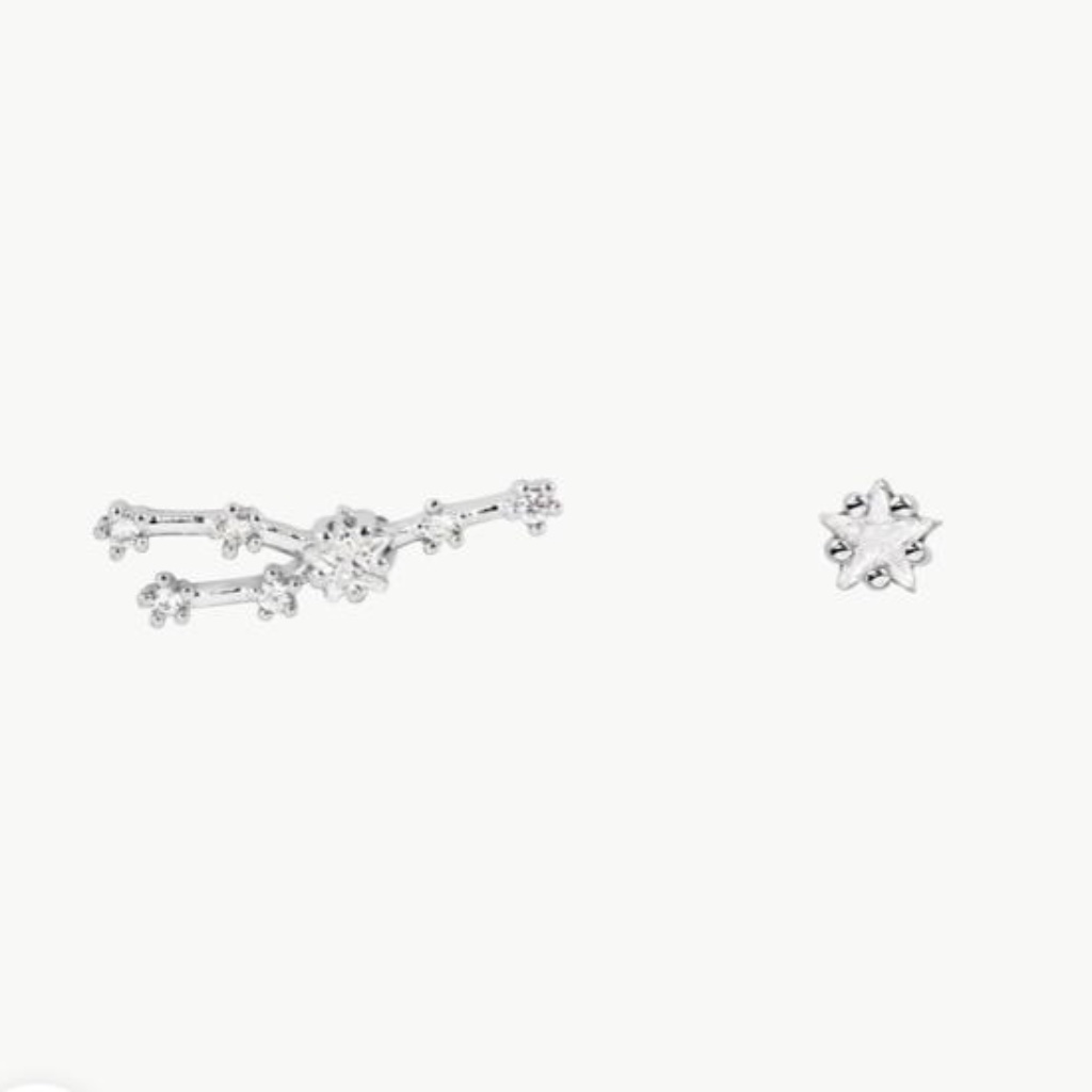 Taurus Silver Zodiac Earrings (Y)